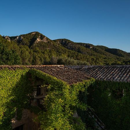 Agroturismo Son Boronat Calvia  Екстер'єр фото