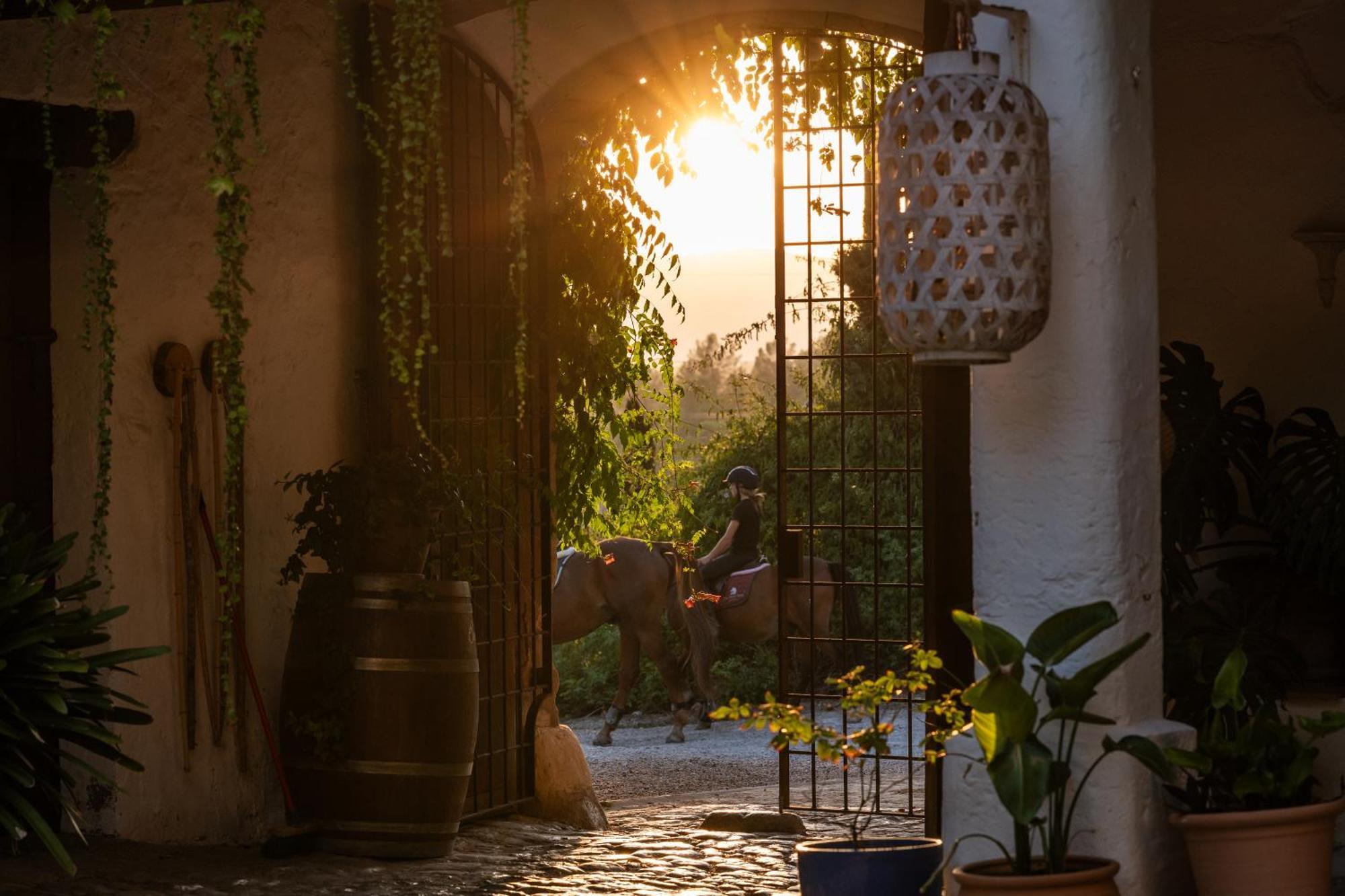 Agroturismo Son Boronat Calvia  Екстер'єр фото